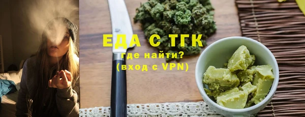 мдпв Ельня