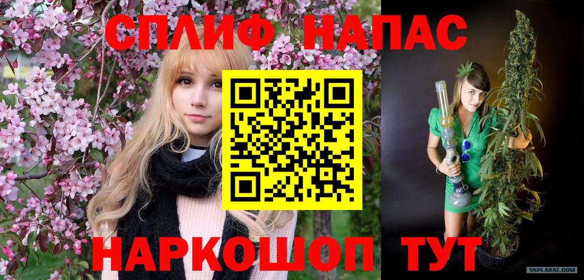 Бошки марихуана гибрид Сатка