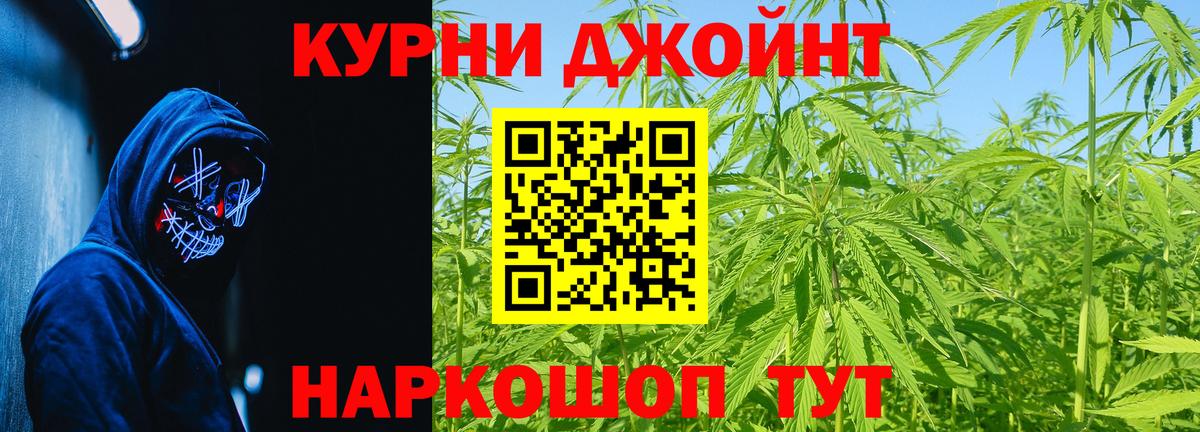 Канабис индика  Вход с VPN  Марихуана Ganja  Сатка  Марихуана план  Бошки Шишки план 
